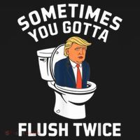 Funny Anti Trump Sometimes You Gotta Flush Twice Women's Hoodie thumb 2