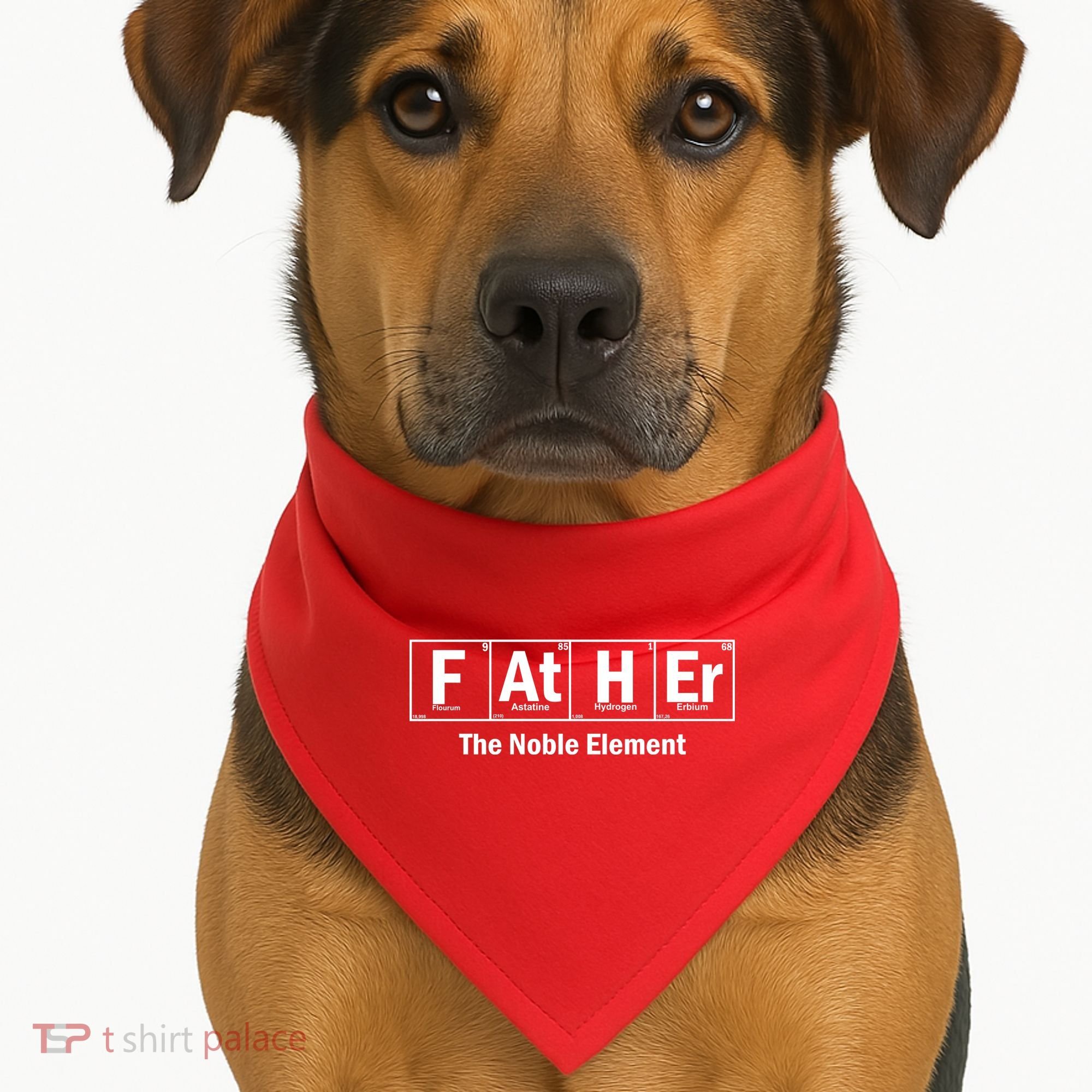 Father The Noble Element USA-Made Doggie Bandana
