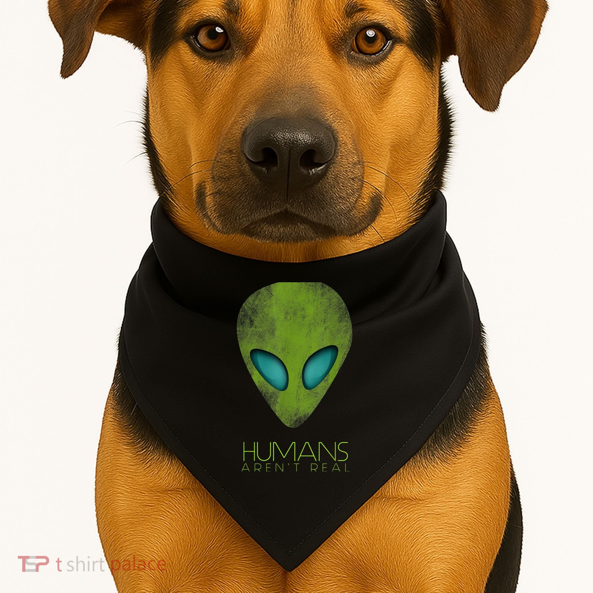 Funny Aliens UFO USA-Made Doggie Bandana
