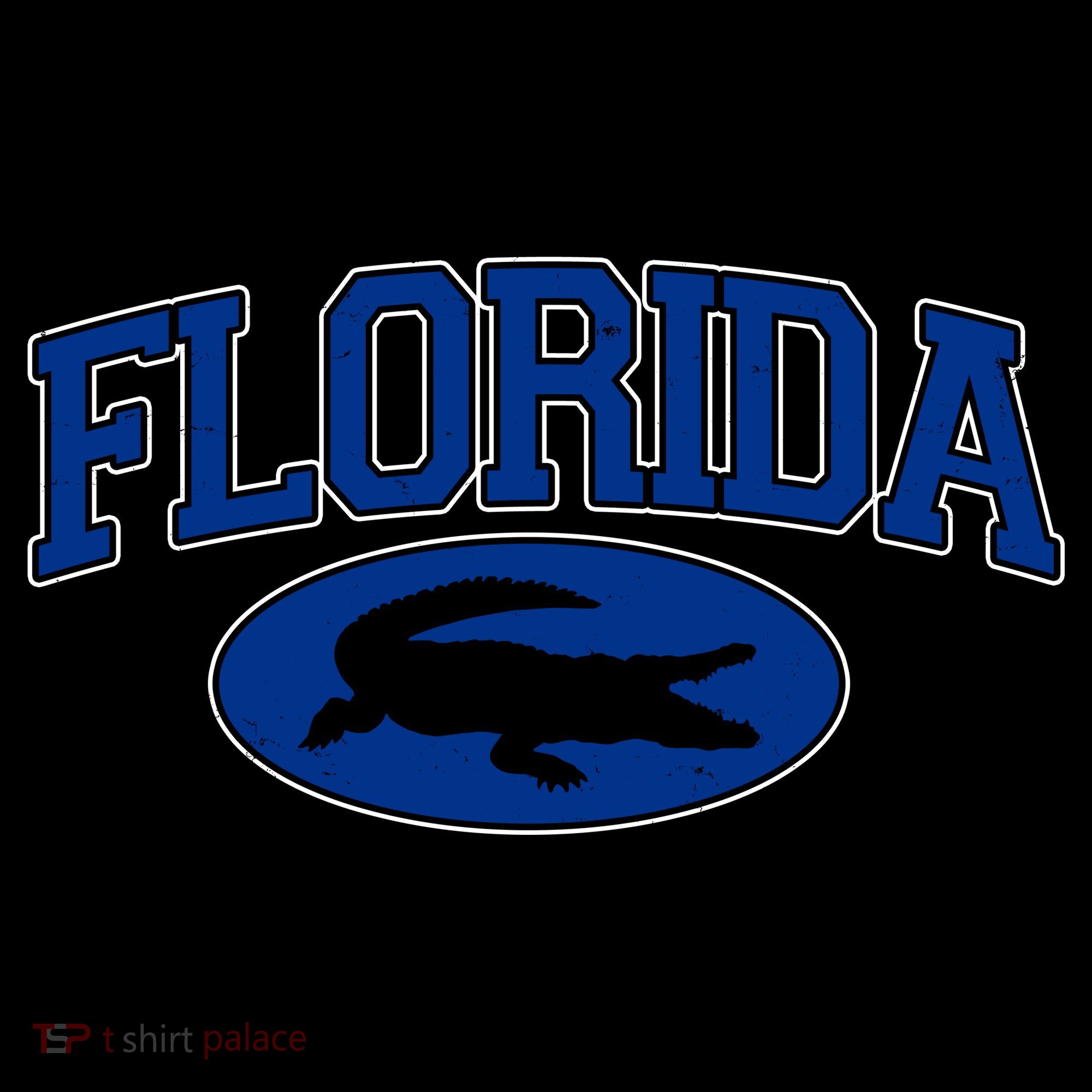 Florida Alligators Team Logo Toddler Hoodie