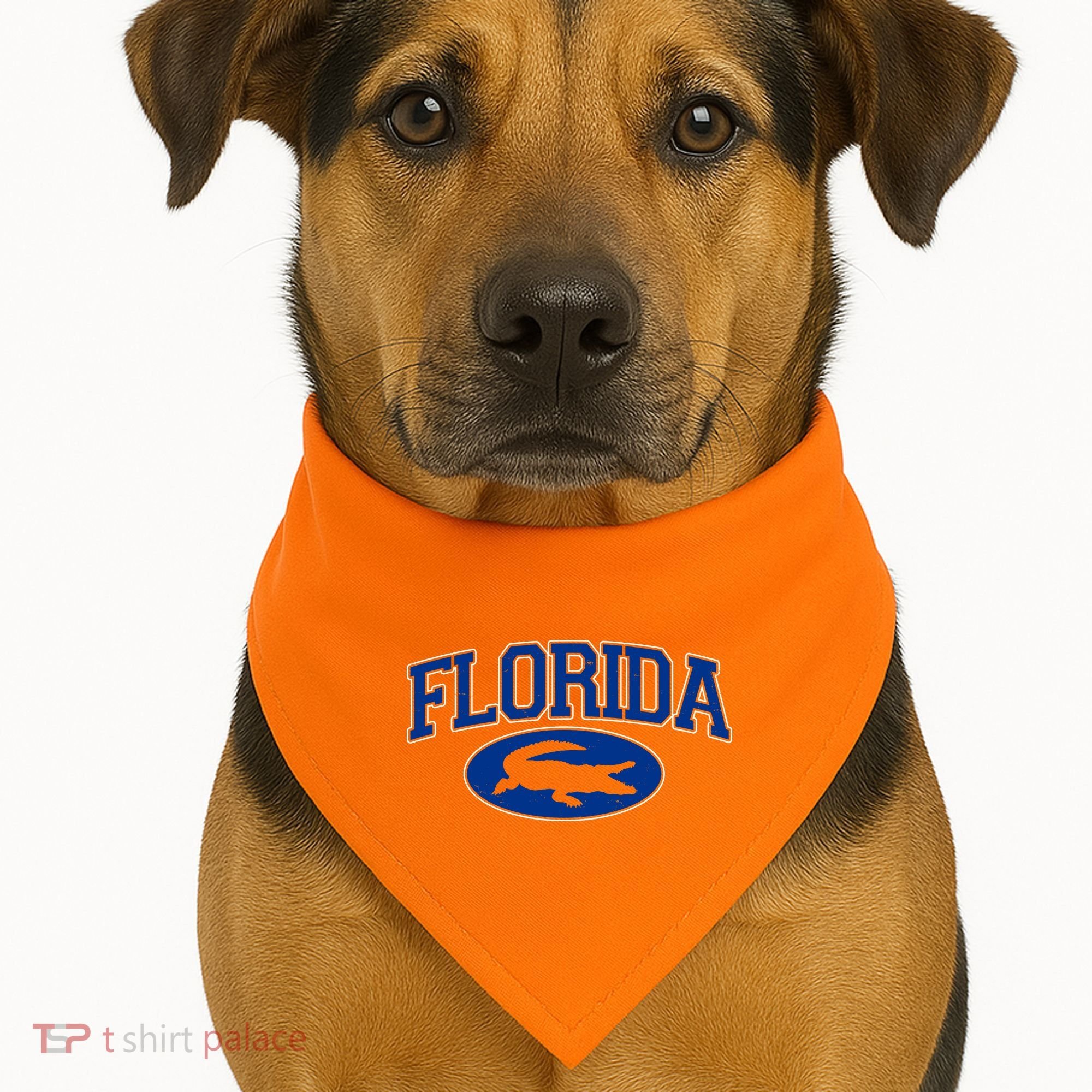 Florida Alligators Team Logo USA-Made Doggie Bandana