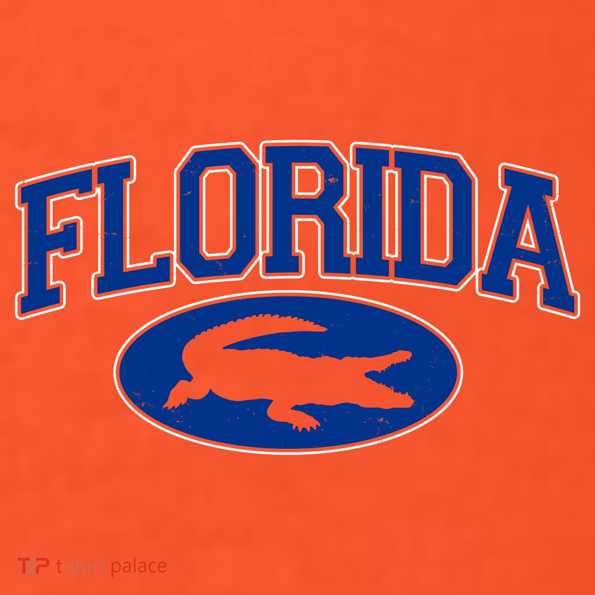Florida Alligators Team Logo Coaster