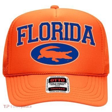 Florida Alligators Team Logo Hat