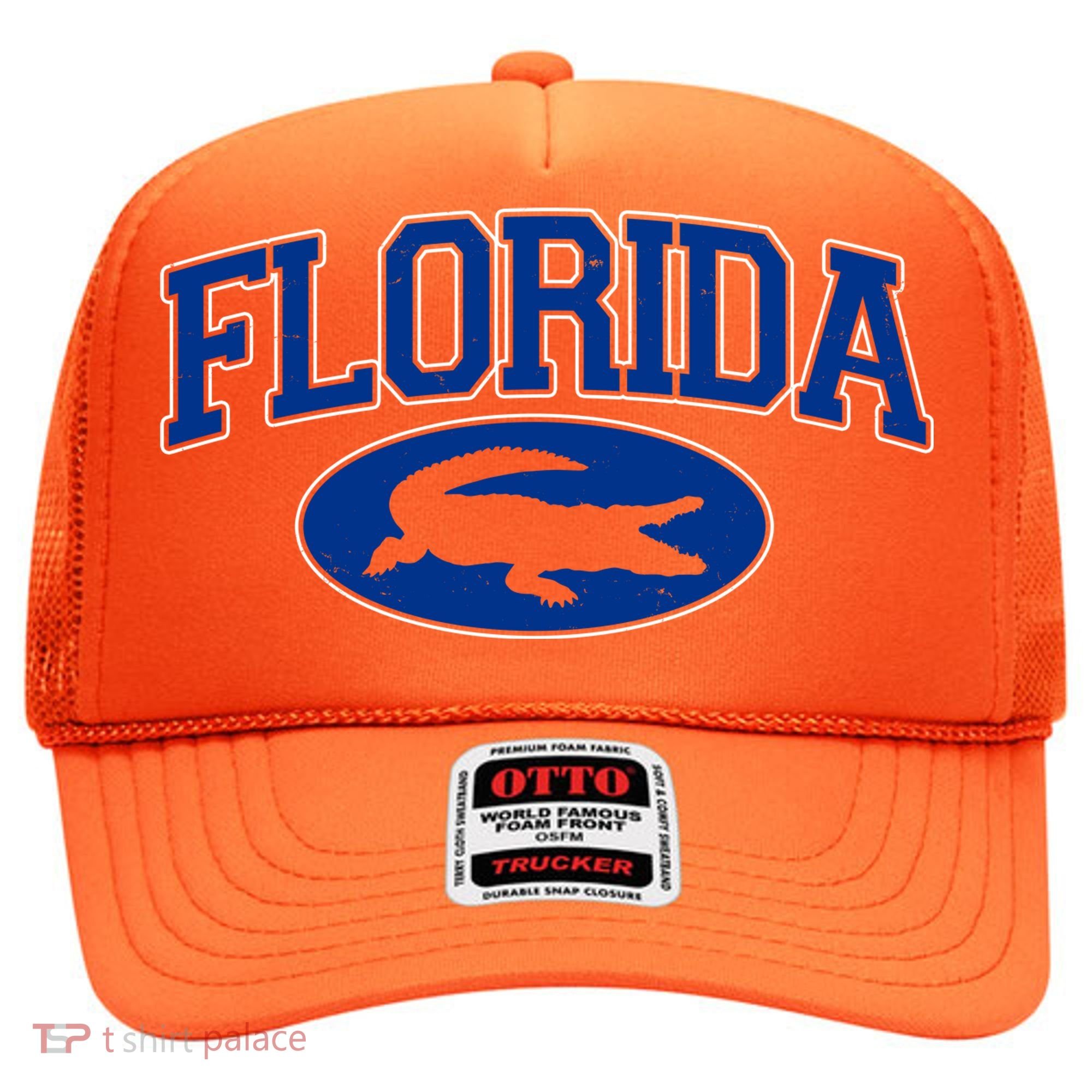 Florida Alligators Team Logo Hat