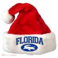 Florida Alligators Team Logo Santa Hat thumb 0