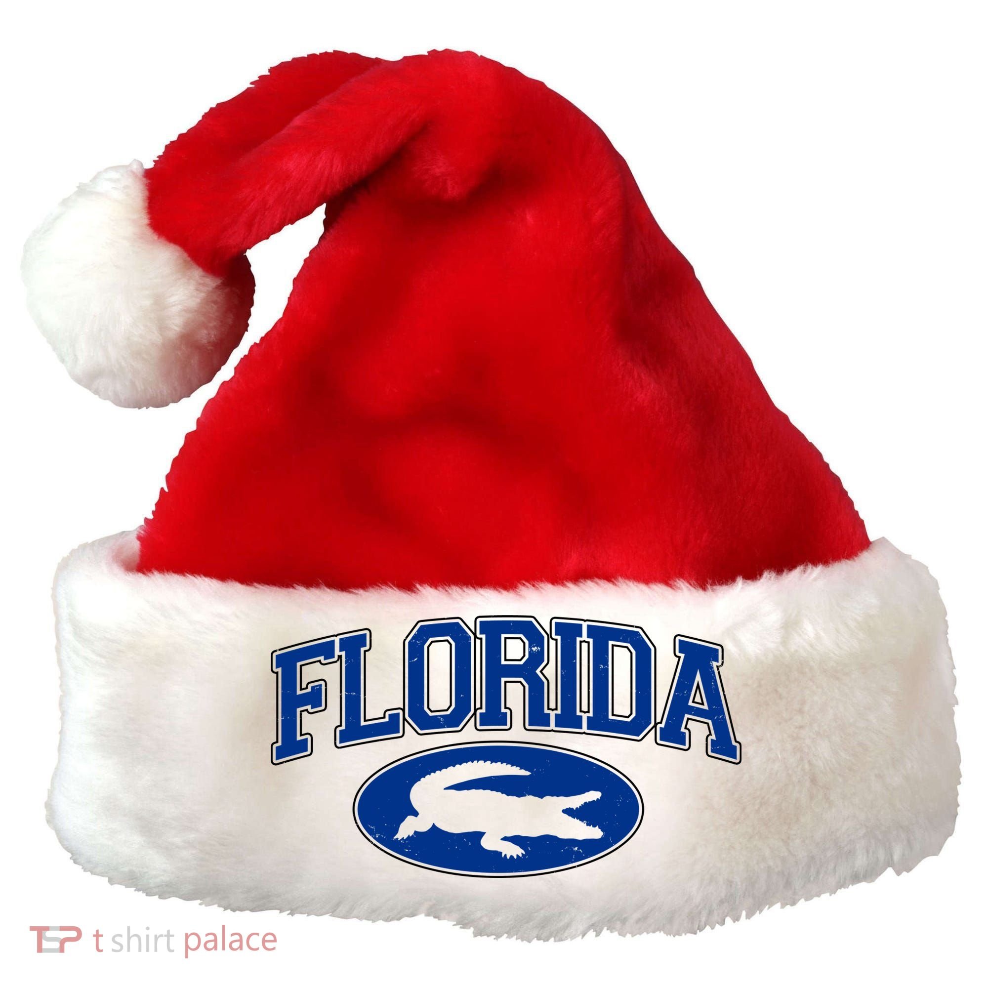 Florida Alligators Team Logo Santa Hat