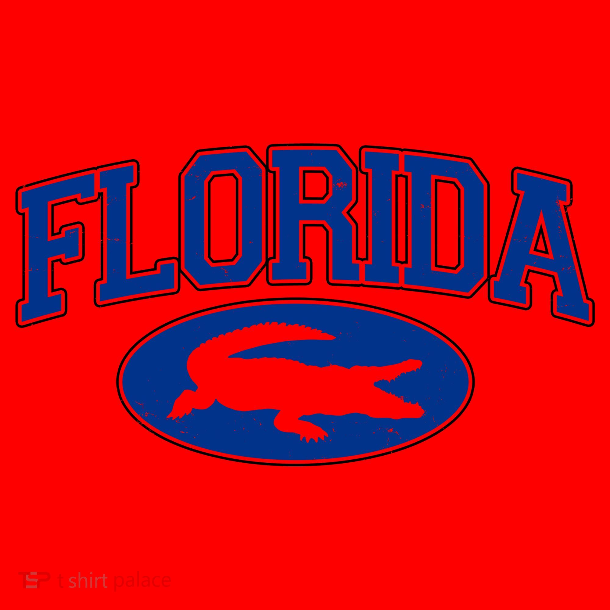 Florida Alligators Team Logo Santa Hat