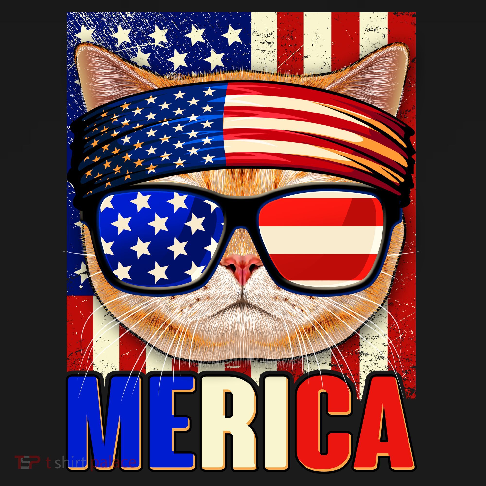 Funny American USA Flag Merica Cat Women's Tank Top