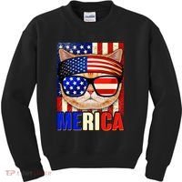 Funny American USA Flag Merica Cat Kids Sweatshirt thumb 0
