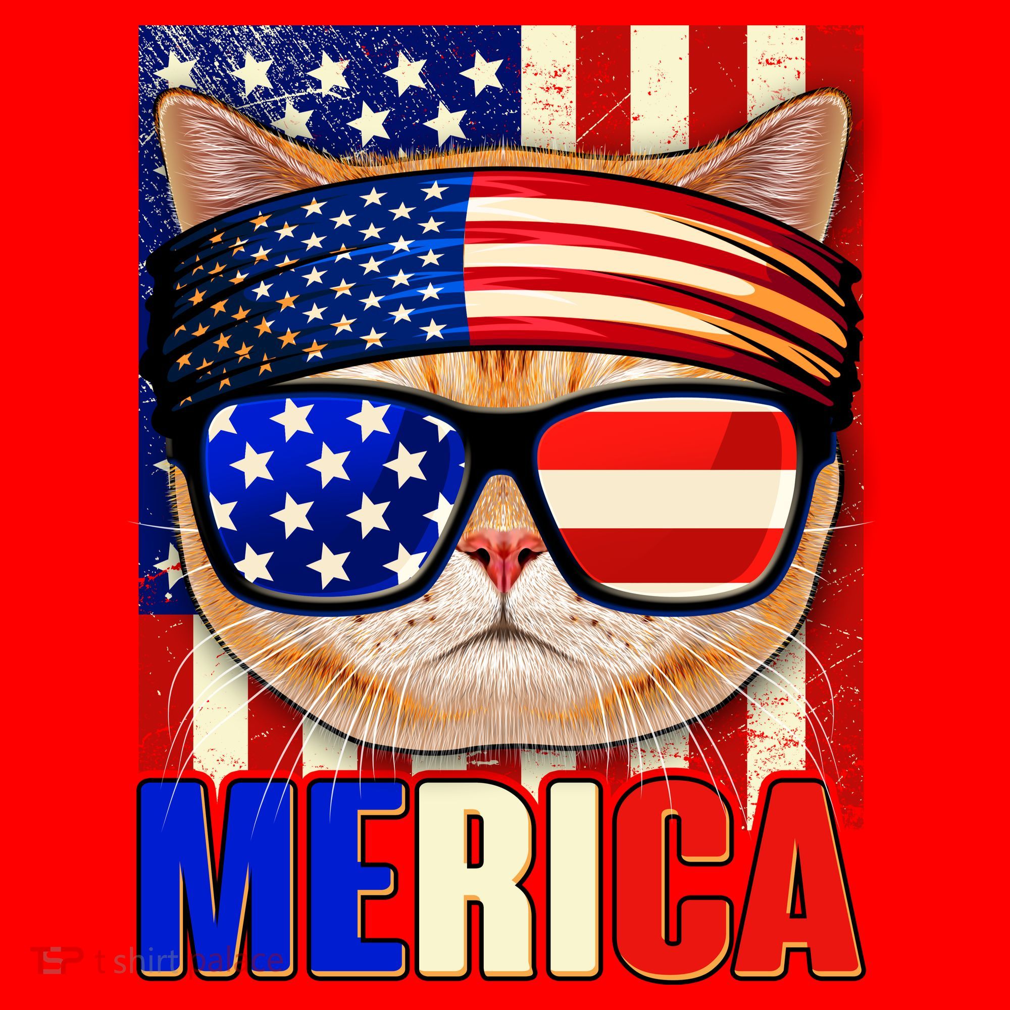 Funny American USA Flag Merica Cat Santa Hat