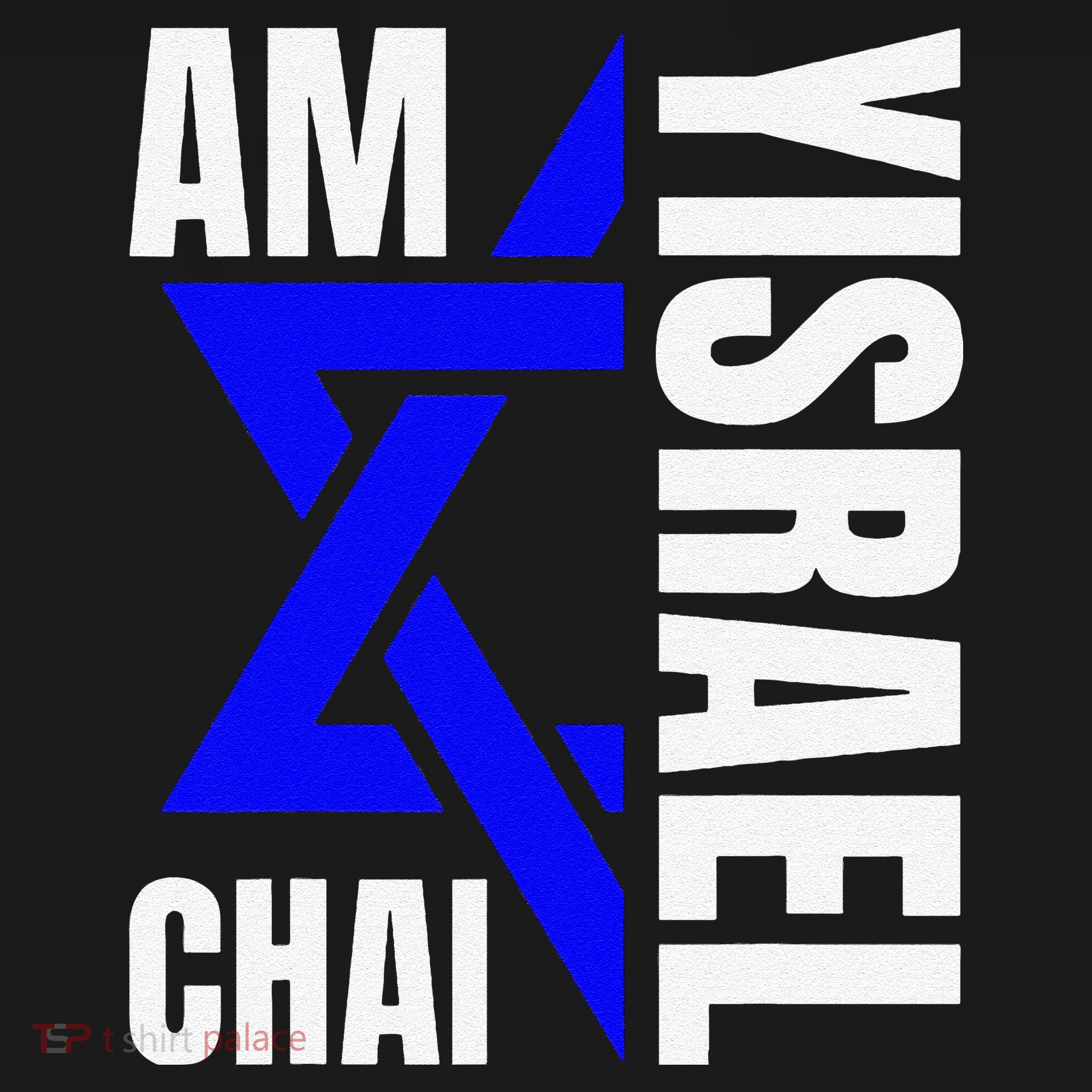 Funny Am Yisrael Chai Israel Star Of David Women's Hoodie