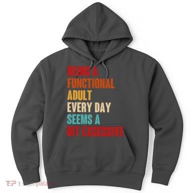 Funny Being A Functional Adult Every Day Seems A Bit Excessive Hoodie