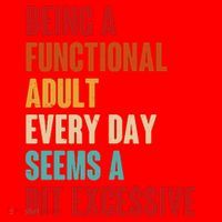 Funny Being A Functional Adult Every Day Seems A Bit Excessive Santa Hat thumb 1