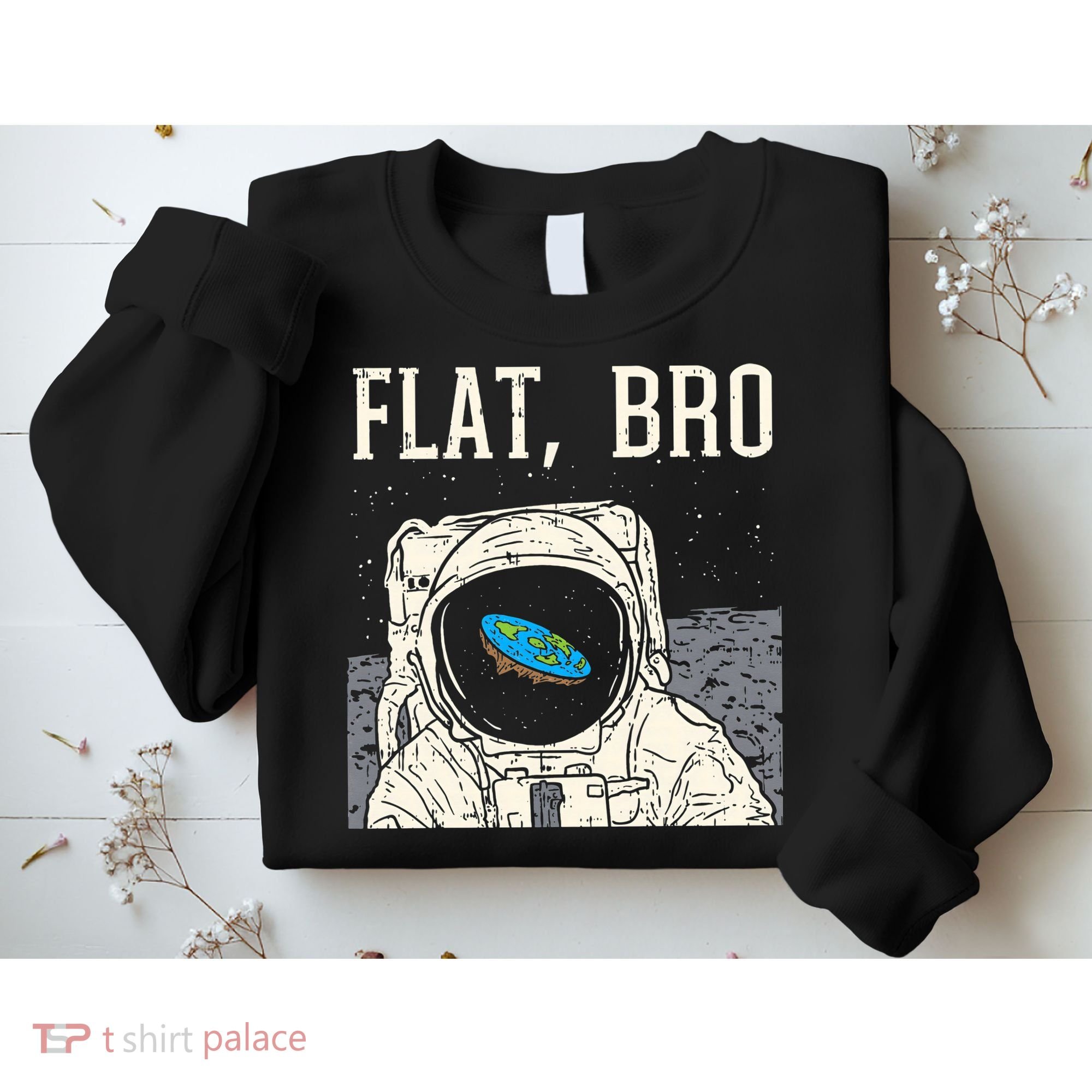 Flat Bro Astronaut Space Funny Earth Conspiracy Theory Gift Sweatshirt