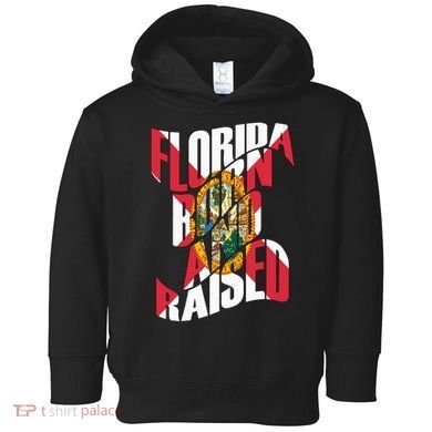 Florida Born And Raised Florida Flag Toddler Hoodie