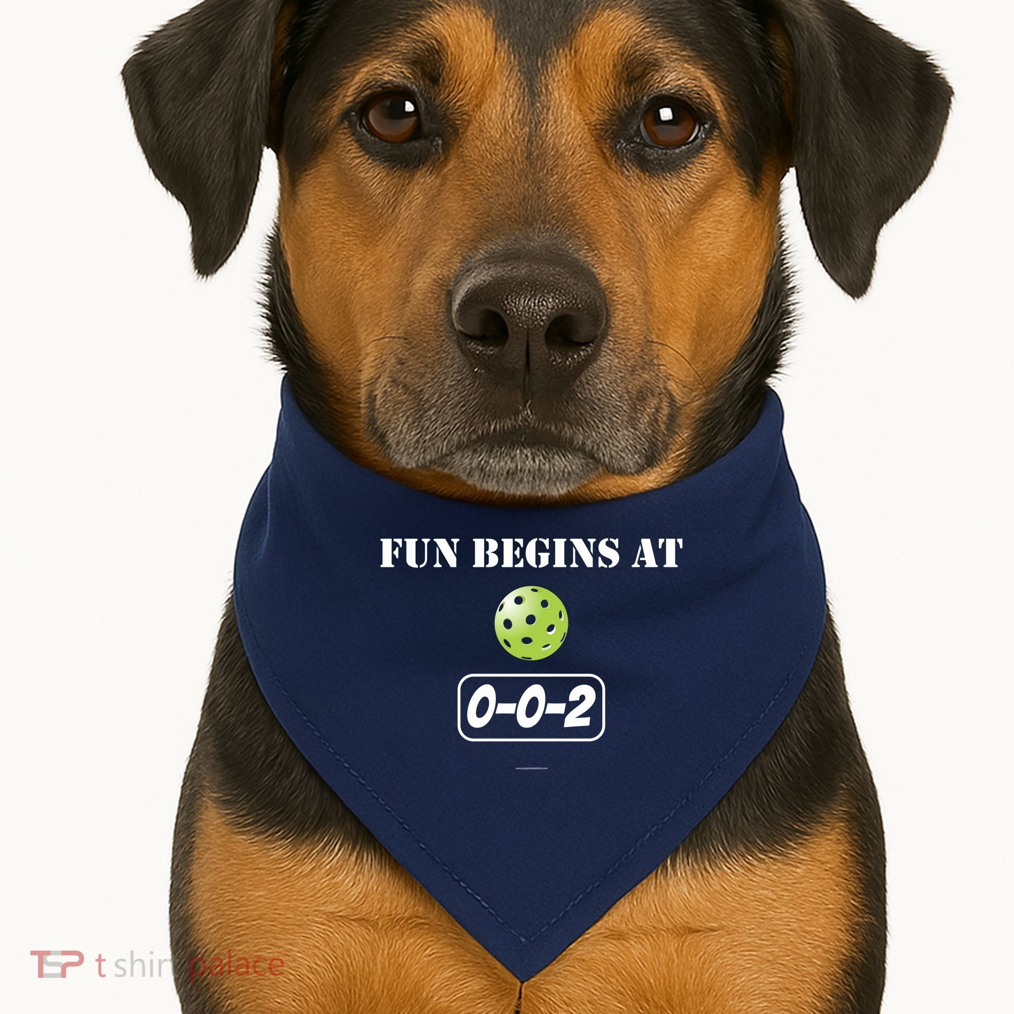 Fun Begins At 002 USA-Made Doggie Bandana