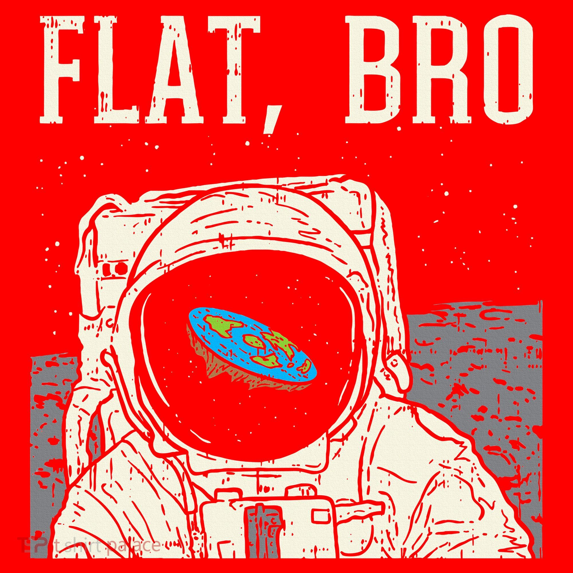 Flat Bro Astronaut Space Funny Earth Conspiracy Theory Gift Santa Hat