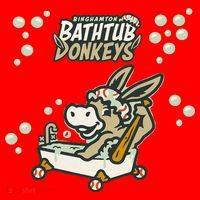 Funny Binghamton Bathtub Donkey Gift Santa Hat thumb 1