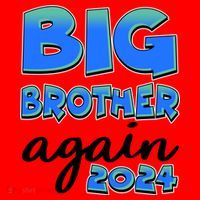 Funny Big Brother Again 2024 New Baby Sibling Santa Hat thumb 1