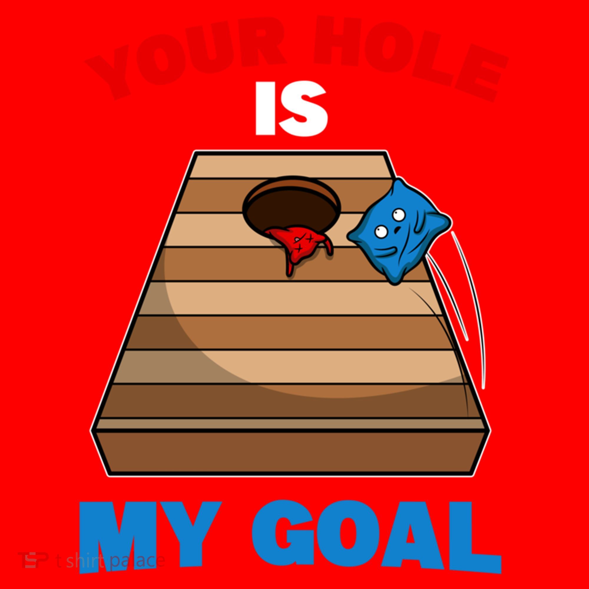 Fun Bean Bag Cornhole Your Hole Is My Goal Funny Gift Santa Hat