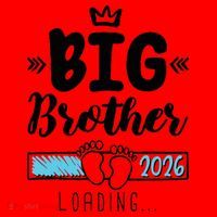 Funny Big Brother 2026 Loading Santa Hat thumb 1