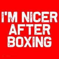 Funny Boxer Boxing Coach IM Nicer After Boxing Cool Gift Santa Hat thumb 1