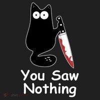 Funny Black Cat Meme You Saw Nothing Beanie thumb 2