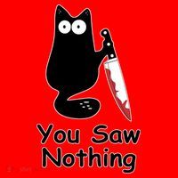 Funny Black Cat Meme You Saw Nothing Santa Hat thumb 1