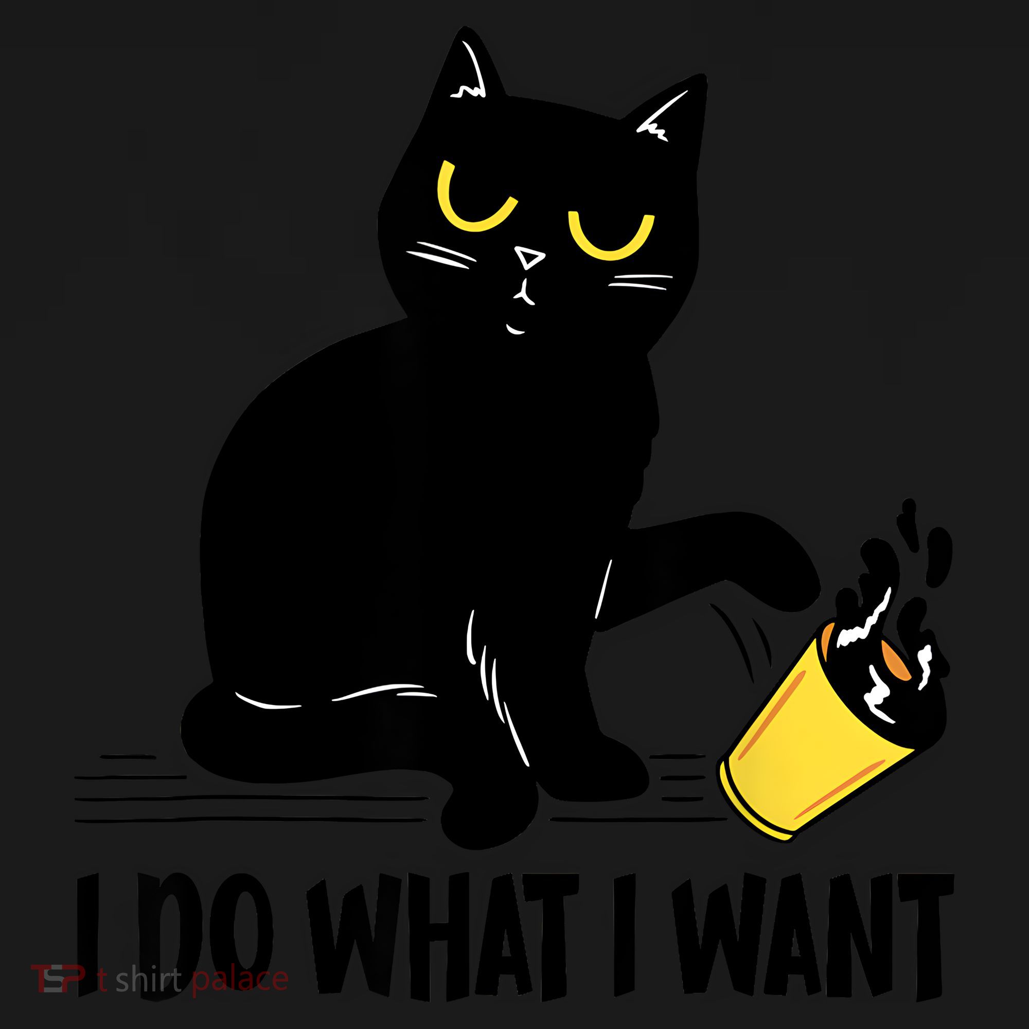 Funny Black Cat I Do What I Want Cat Lover Gifts Coaster