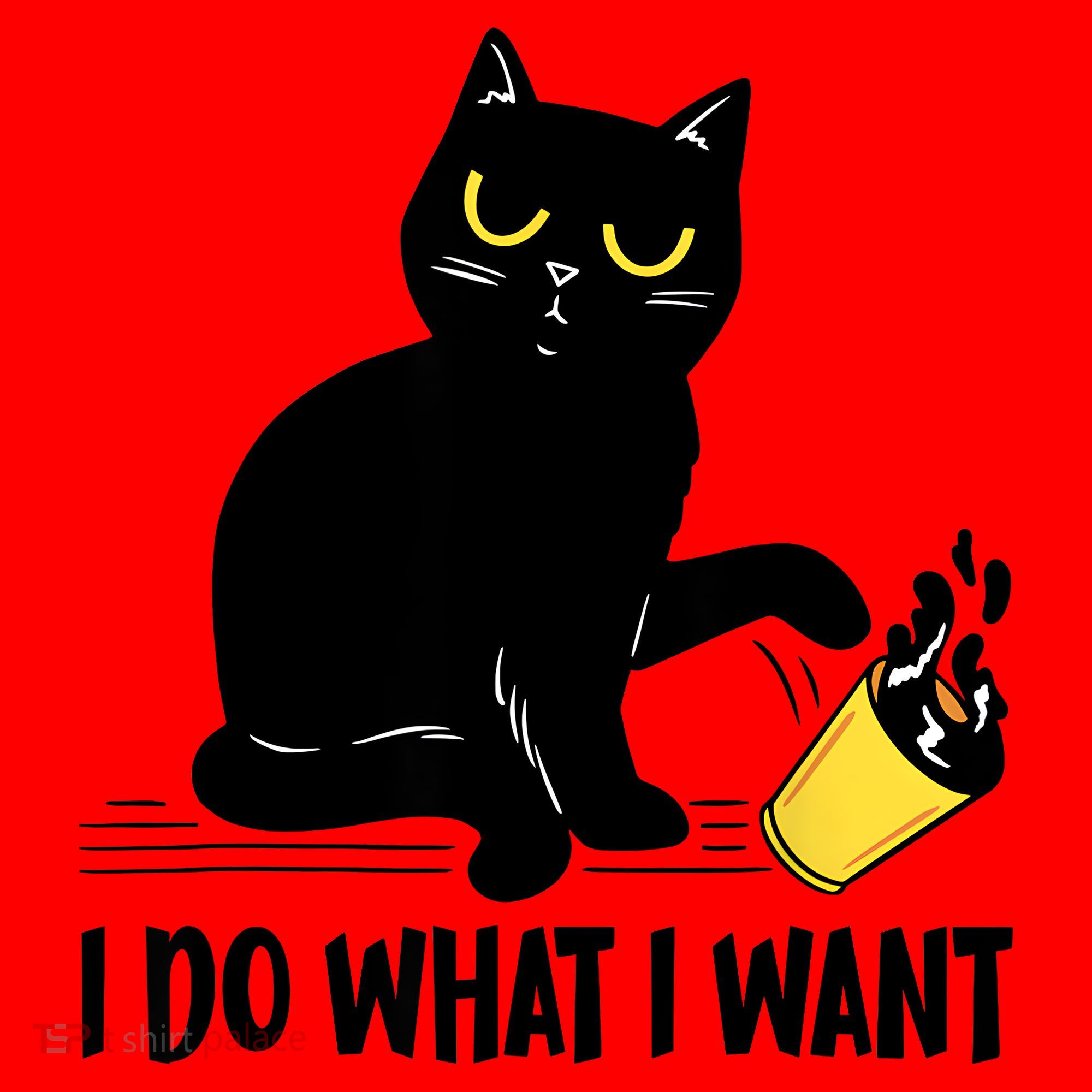 Funny Black Cat I Do What I Want Cat Lover Gifts Santa Hat