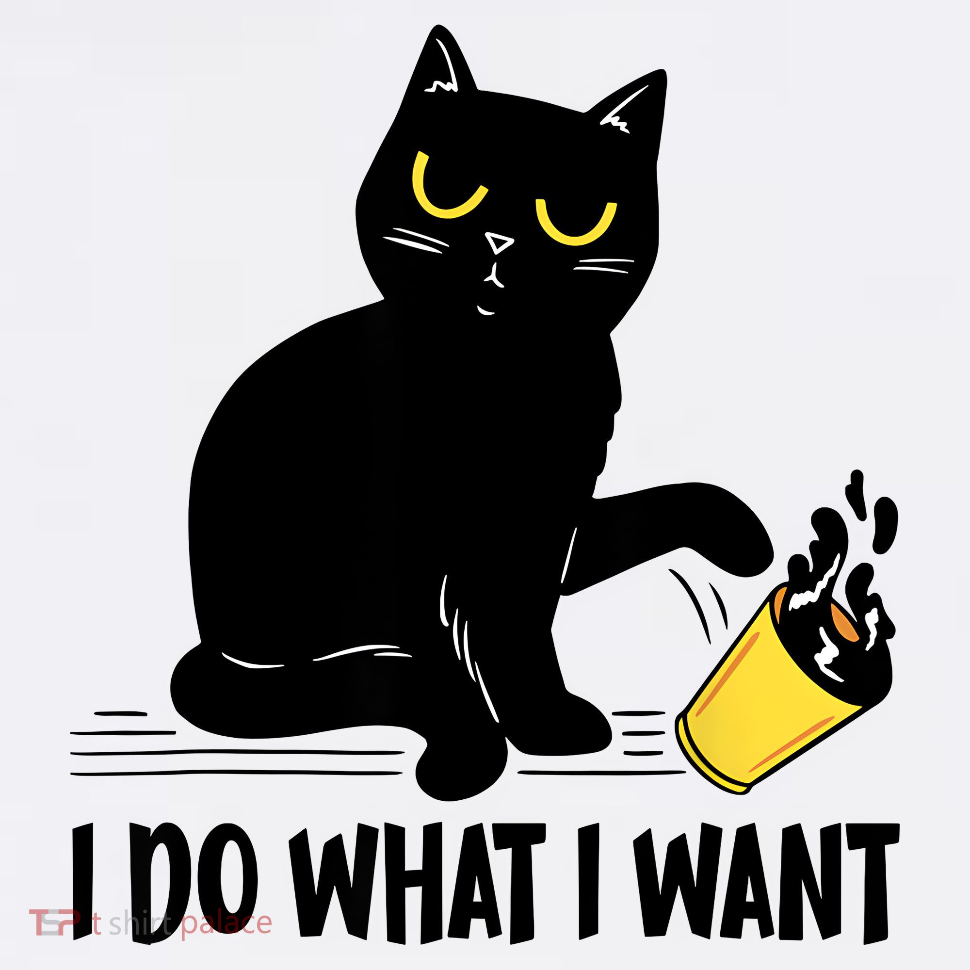 Funny Black Cat I Do What I Want Cat Lover Gifts Women's Tank Top