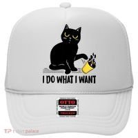 Funny Black Cat I Do What I Want Cat Lover Gifts Hat thumb 0
