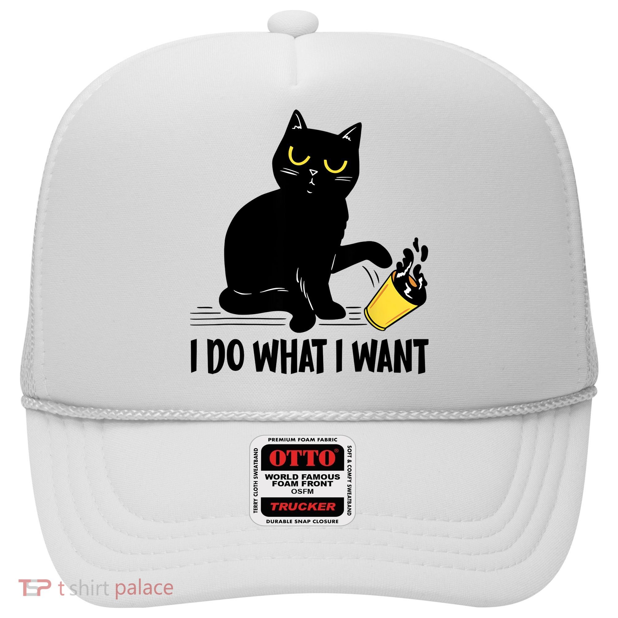Funny Black Cat I Do What I Want Cat Lover Gifts Hat