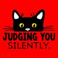 Funny Black Cat Judging You Silently Sarcastic Saying Cool Gift Santa Hat thumb 1