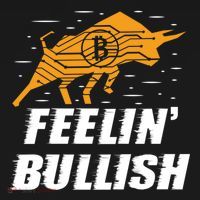 Feelin Bullish Cryptocurrency Blockchain Trader Crypto Gift Pajama Set thumb 2
