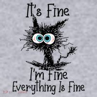 Funny Black Cat ItS Fine IM Fine Everything Is Fine Women's Sweatshirt thumb 2