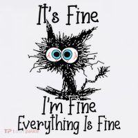 Funny Black Cat ItS Fine IM Fine Everything Is Fine Tumbler thumb 3
