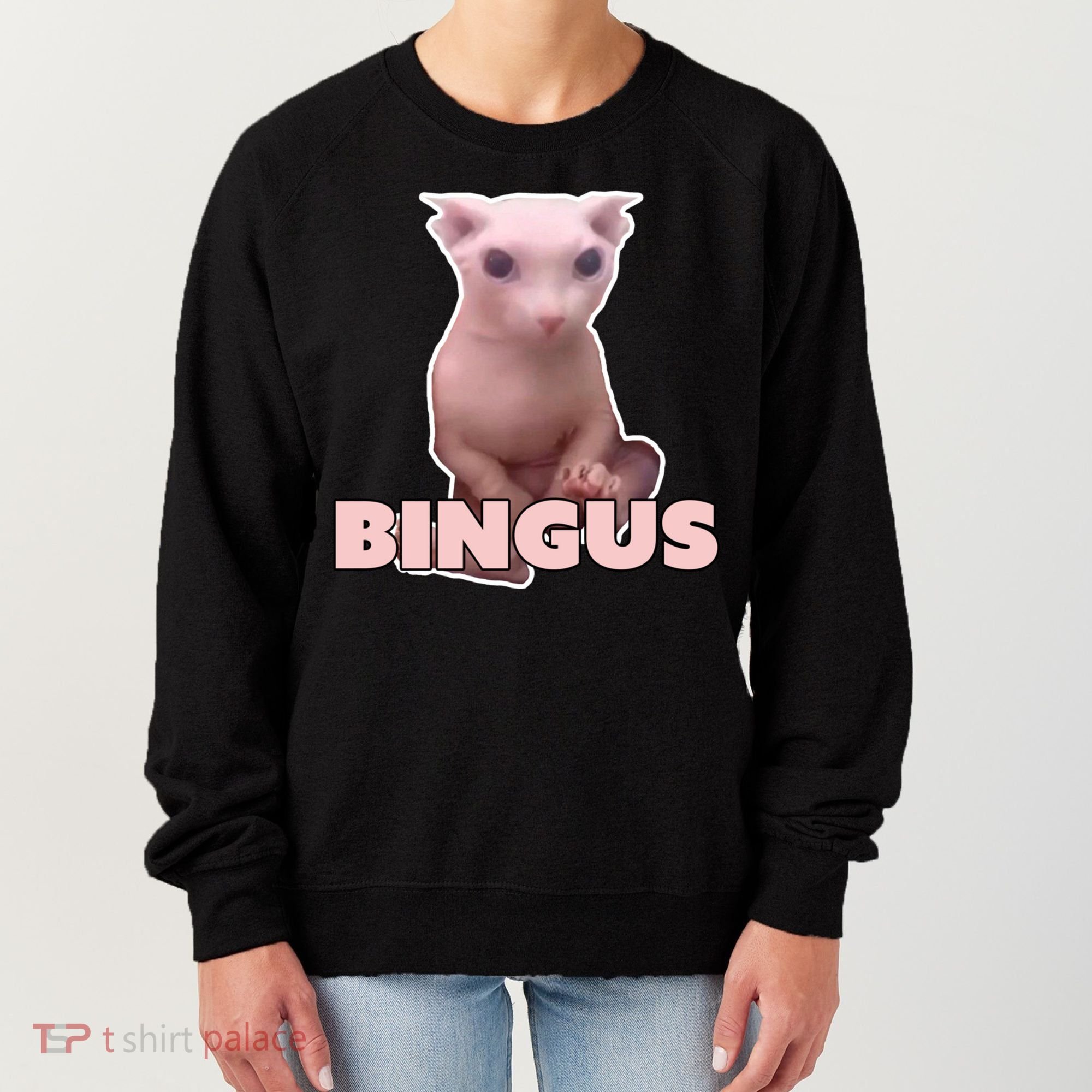 Funny Bingus Cat Meme Women's Sweatshirt