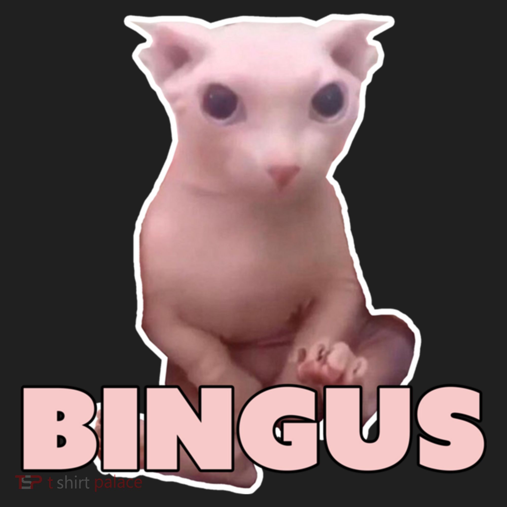 Funny Bingus Cat Meme Women's Sweatshirt