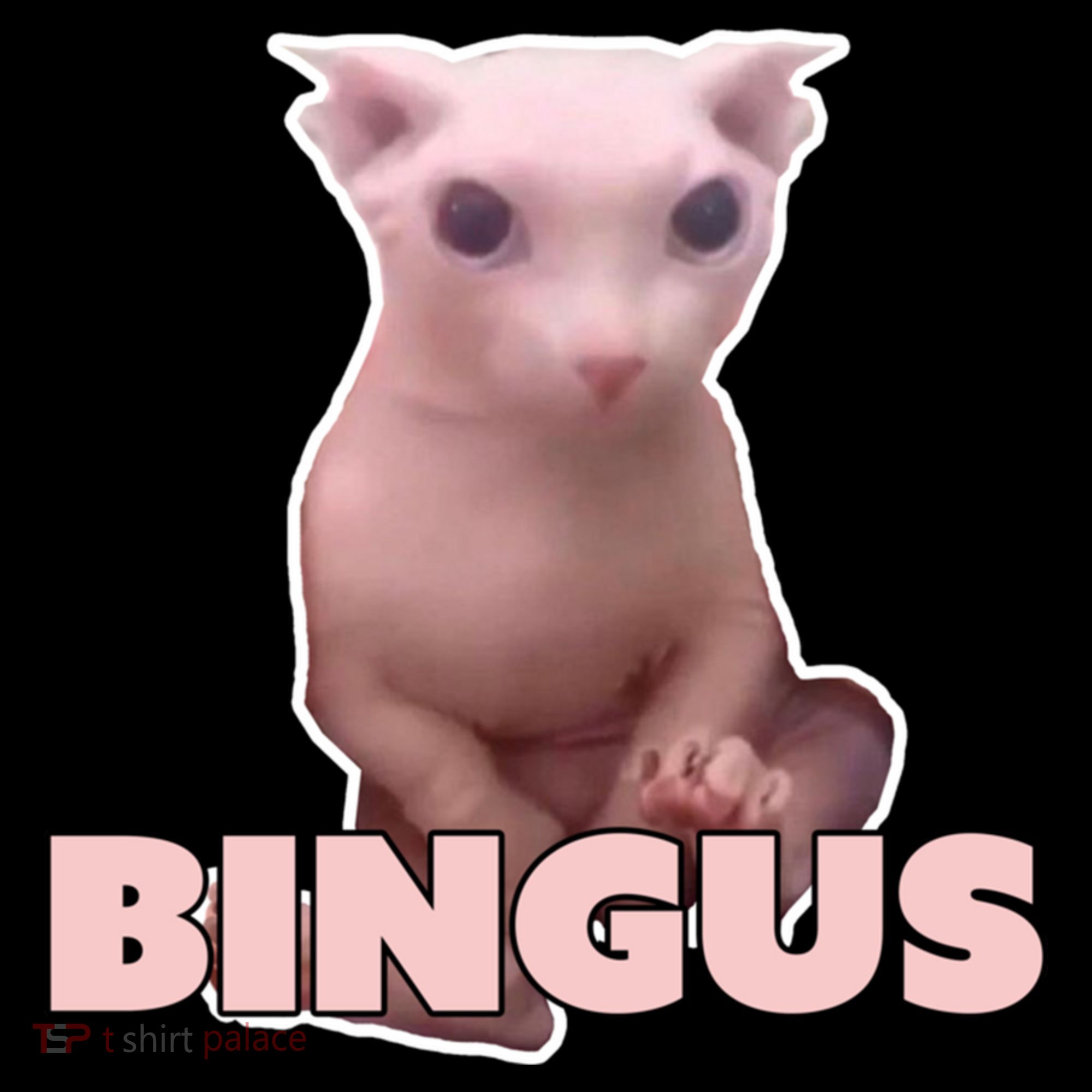 Funny Bingus Cat Meme Backpack