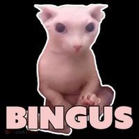 Funny Bingus Cat Meme Women's Hoodie thumb 2