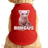 Funny Bingus Cat Meme Doggie Tank thumb 0
