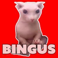 Funny Bingus Cat Meme Doggie Tank thumb 4