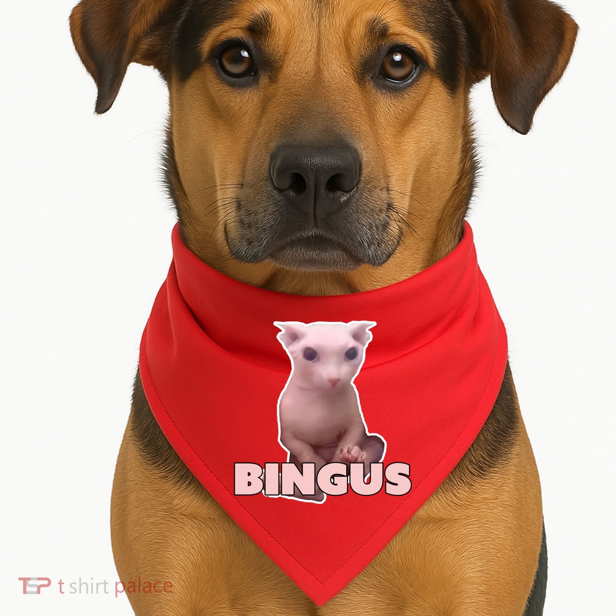 Funny Bingus Cat Meme USA-Made Doggie Bandana