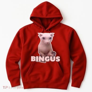 Funny Bingus Cat Meme Hoodie