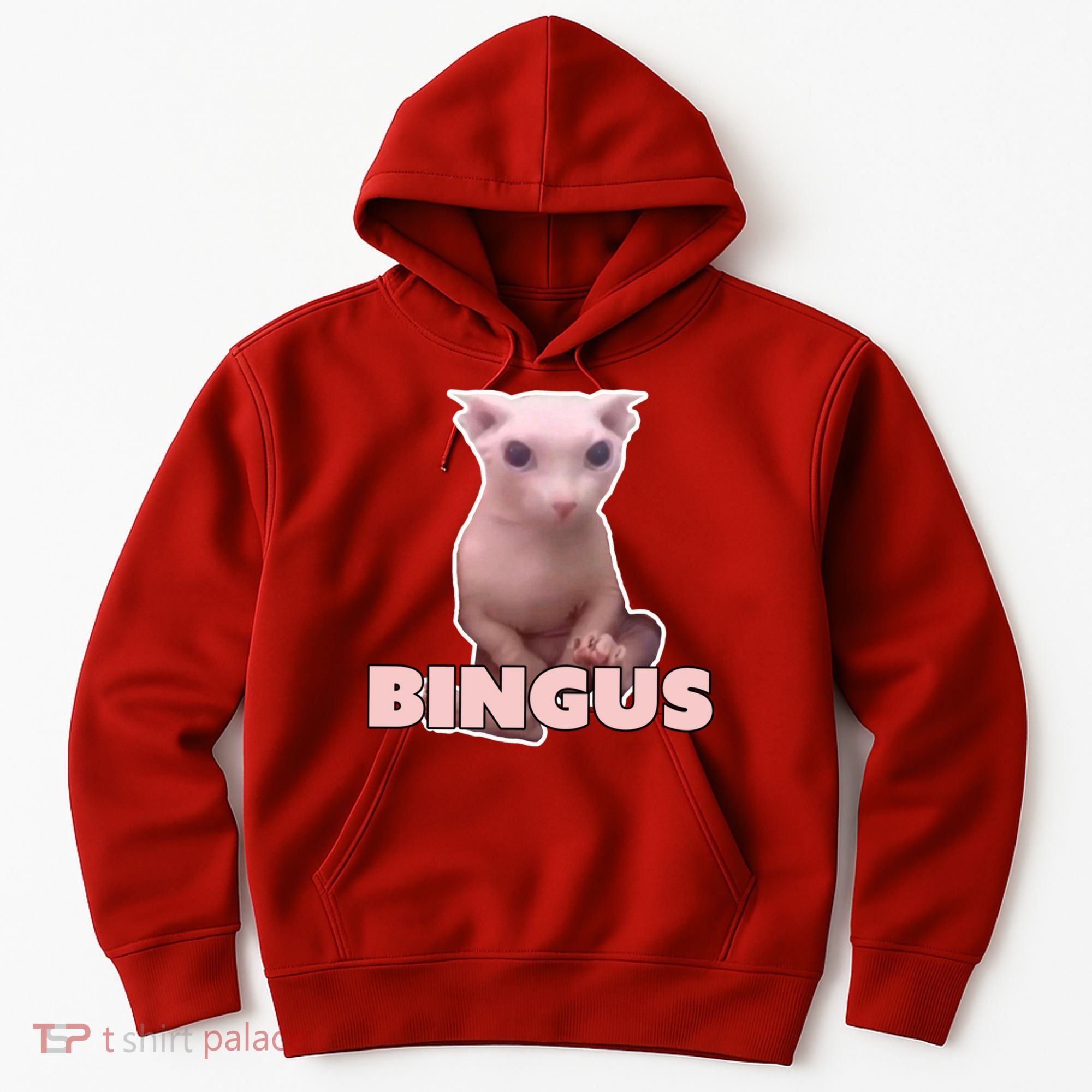 Funny Bingus Cat Meme Hoodie