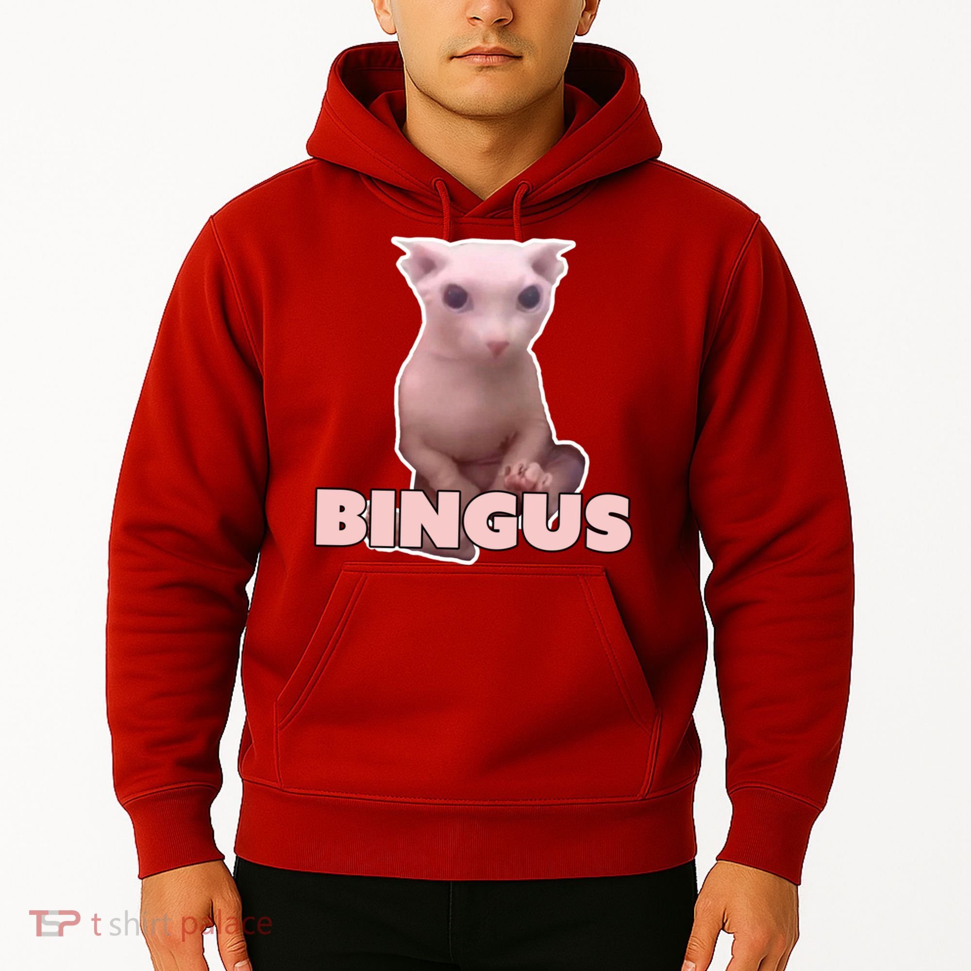 Funny Bingus Cat Meme Hoodie
