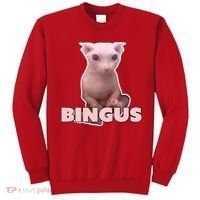 Funny Bingus Cat Meme Sweatshirt thumb 0