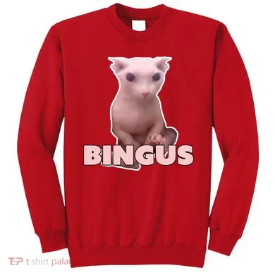 Funny Bingus Cat Meme Sweatshirt