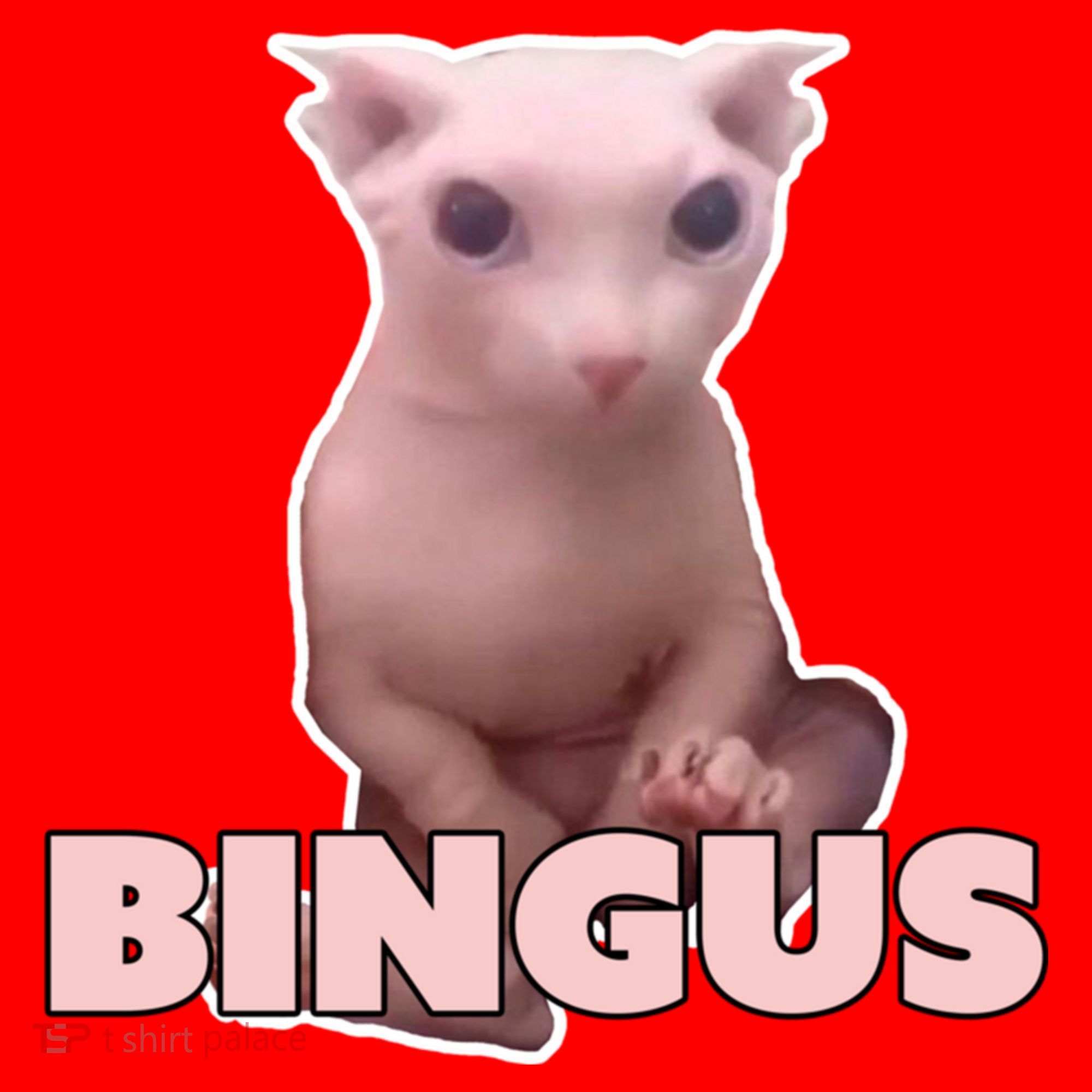 Funny Bingus Cat Meme Sweatshirt